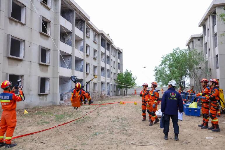 海麗雅集團(tuán)